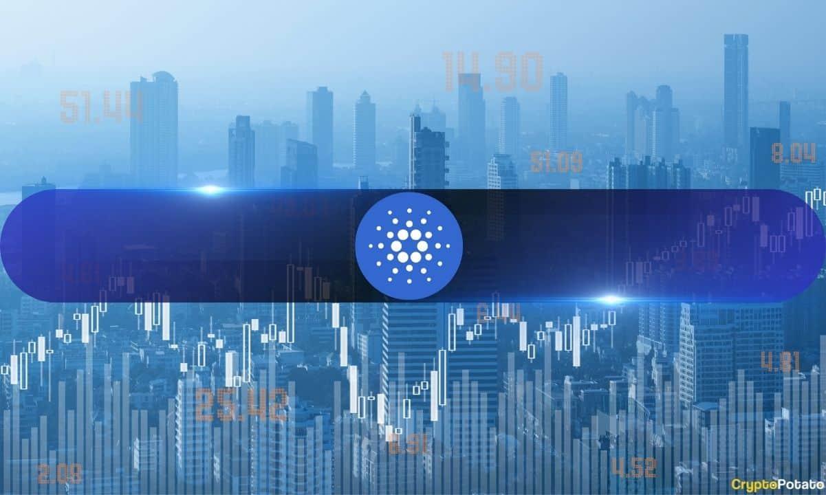 卡尔达诺基金会公布2023年财务报告,揭示三大领域的支出情况