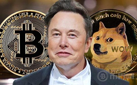 X Money代码泄露引发猜想：马斯克考虑发行加密货币？比特币和狗狗币或或许成为支付选项之一？